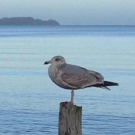 Strandhotel Duenenhaus 3*